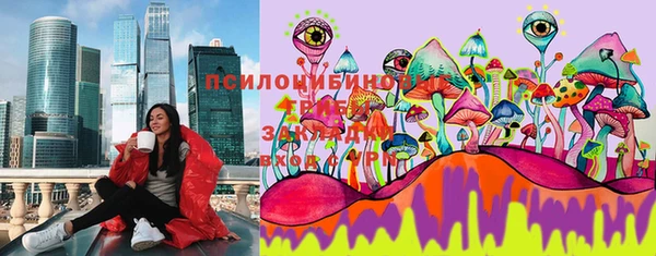 синтетический гашиш Приозерск