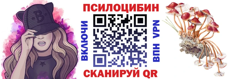 закладки  Кулебаки  Галлюциногенные грибы прущие грибы 