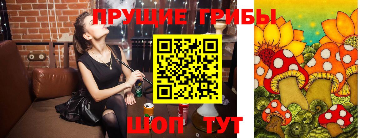 Псилоцибиновые грибы Cubensis Кулебаки