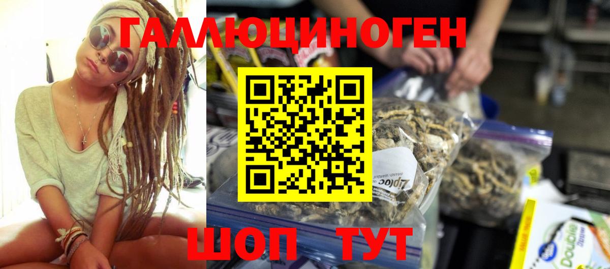 Галлюциногенные грибы MAGIC MUSHROOMS  Вход с VPN  Кулебаки 