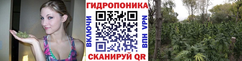 omg ссылки Кулебаки Каннабис SATIVA & INDICA